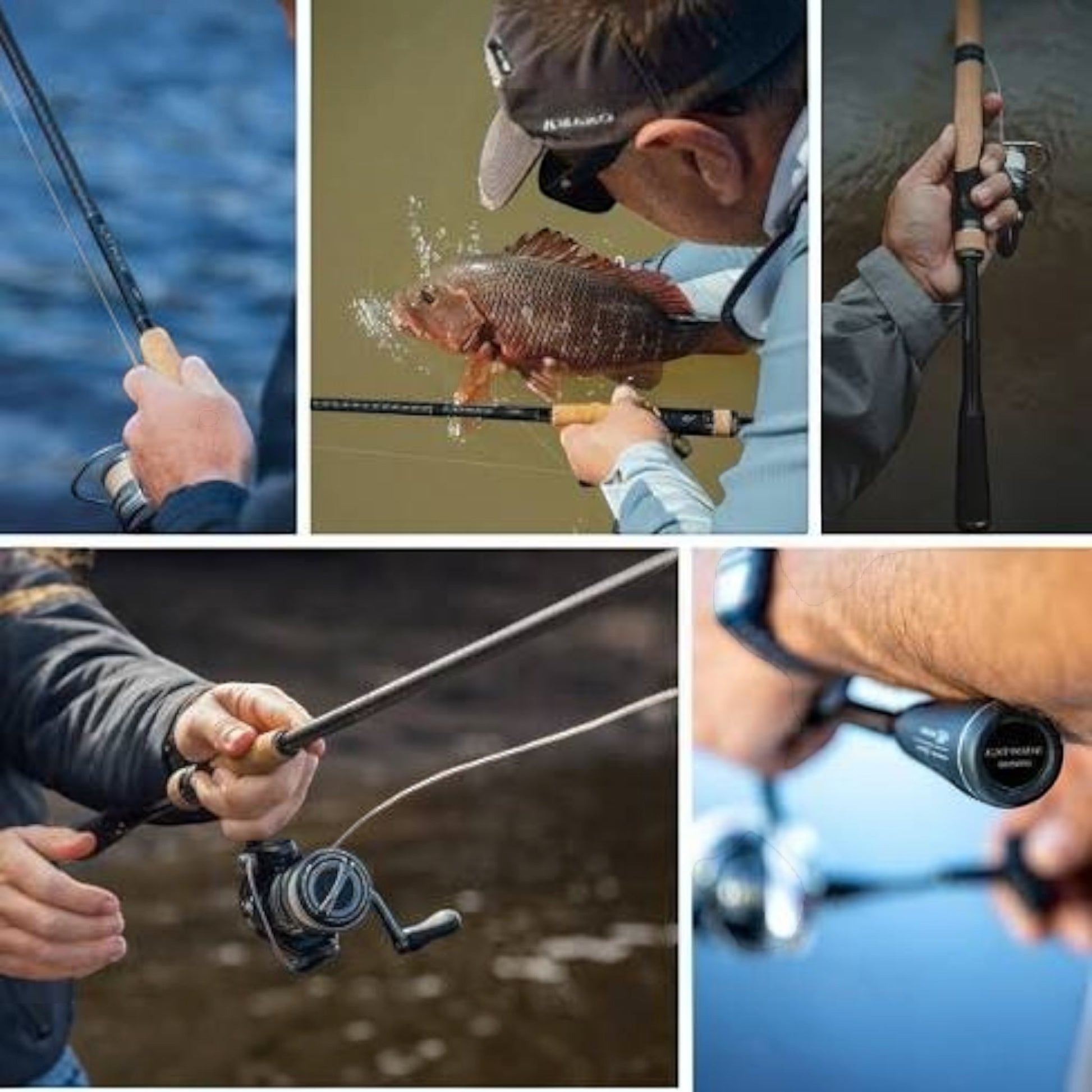Shimano Expride B Spinning Rods - Dogfish Tackle & Marine