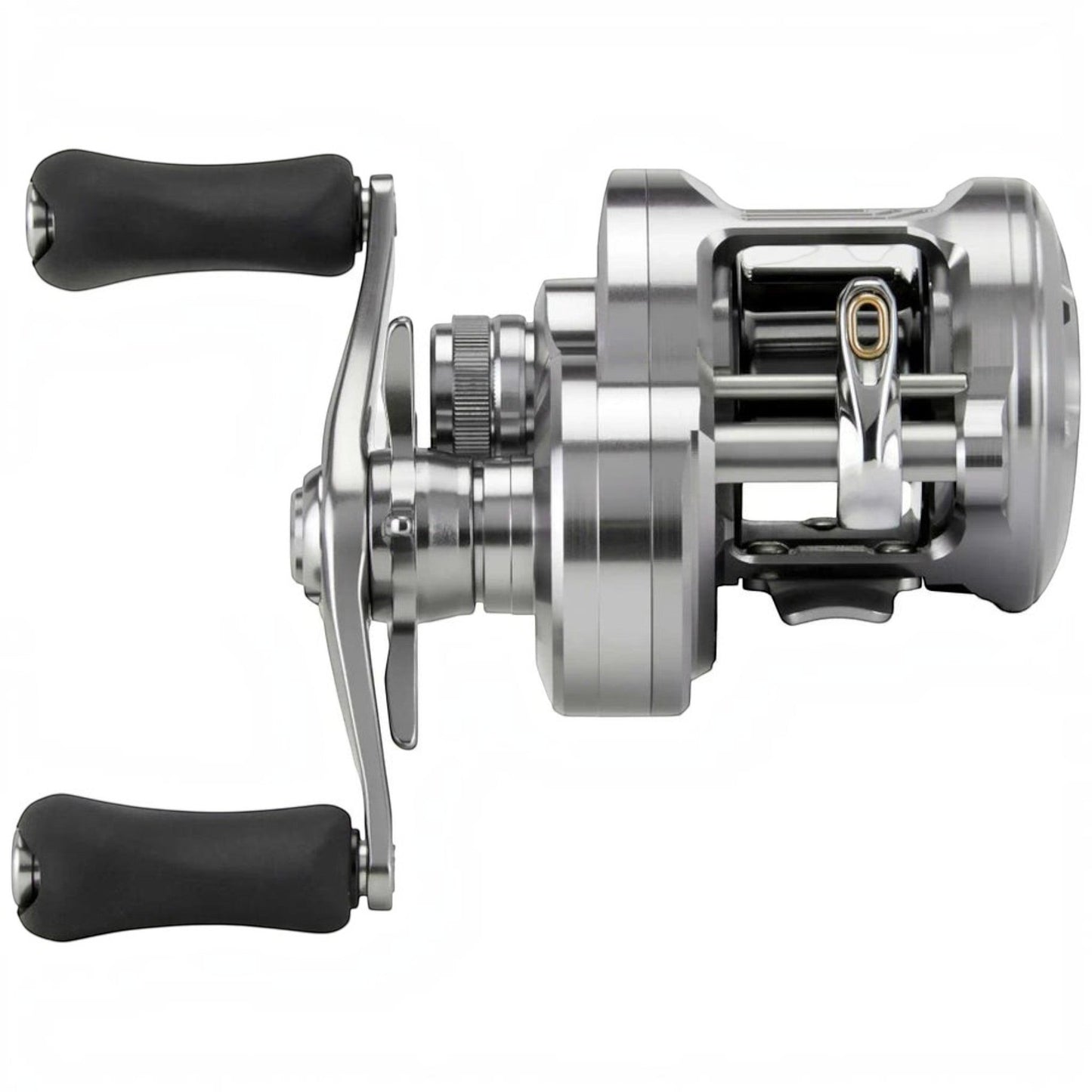 Shimano Calcutta Conquest DC 200 Casting Reels - Dogfish Tackle & Marine