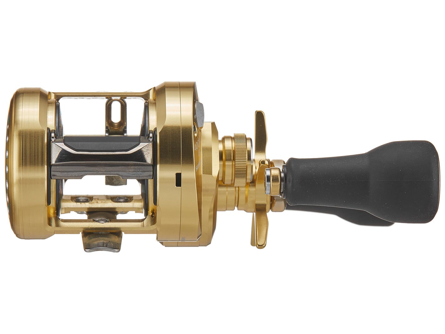 Shimano Calcutta Conquest MD Casting Reel - Dogfish Tackle & Marine