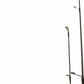 Daiwa ISLA Inshore Spinning Rod - Dogfish Tackle & Marine