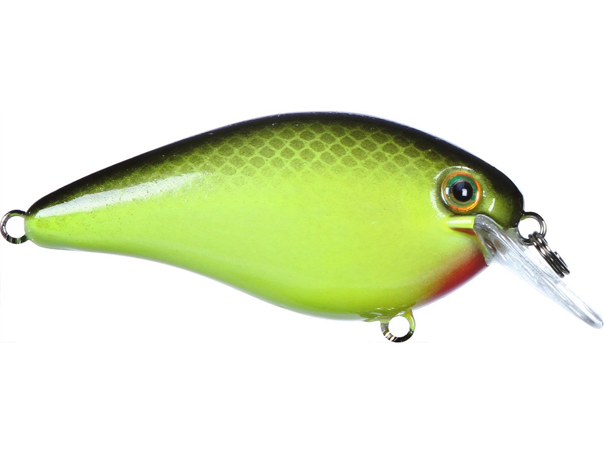 Strike King KVD Squarebill Crankbait 1.5 - Dogfish Tackle & Marine