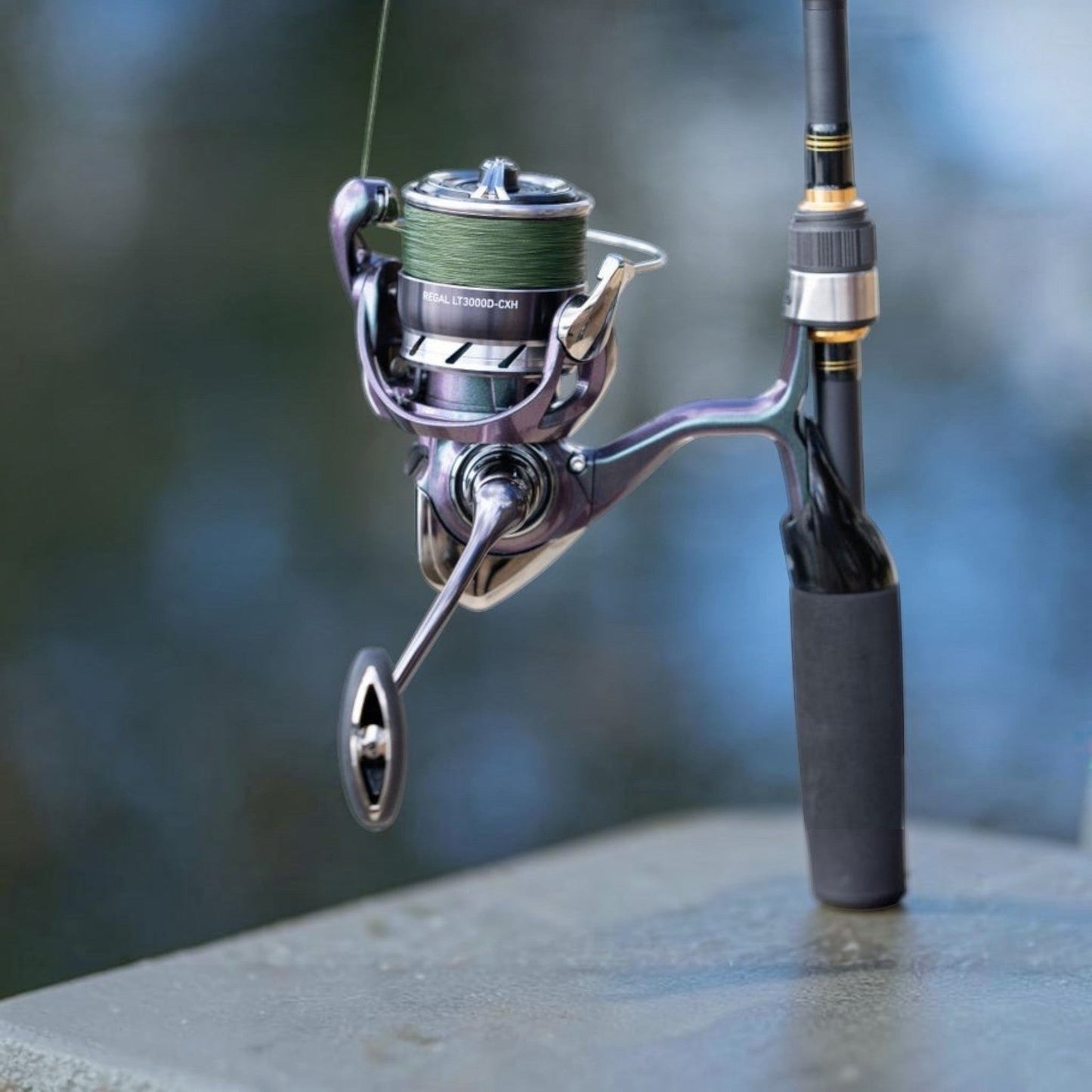 Daiwa Regal Lt Spinning Reel - Dogfish Tackle & Marine