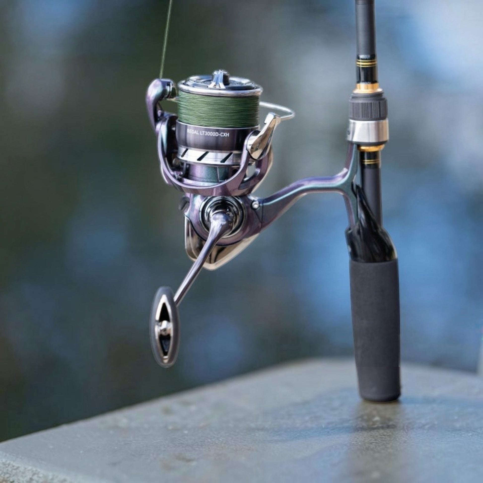 Daiwa Regal Lt Spinning Reel - Dogfish Tackle & Marine