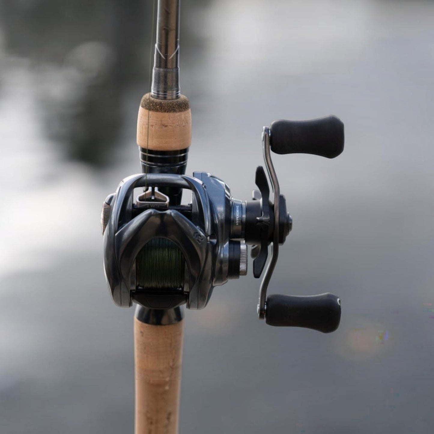 Daiwa 24 Tatula SV TW 100 Casting Reel - Dogfish Tackle & Marine