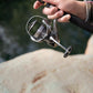 Daiwa 23 Exceler LT - Dogfish Tackle & Marine