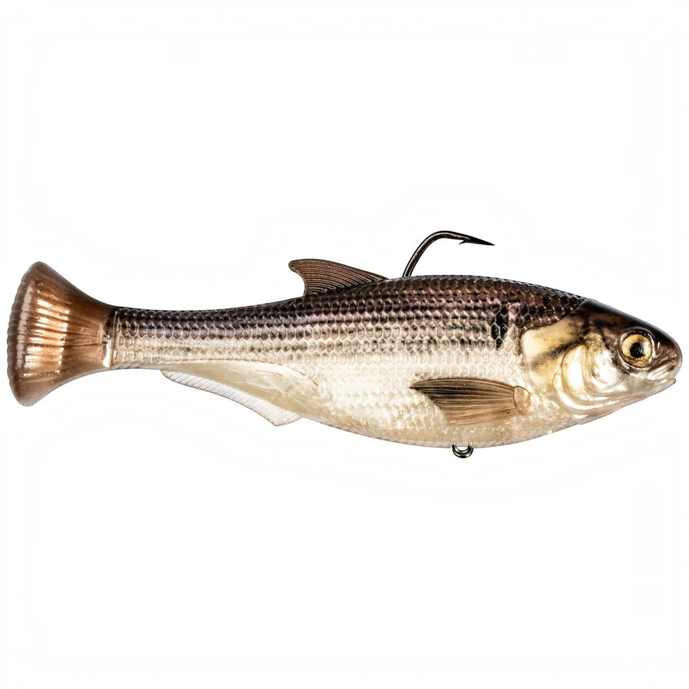 Z-Man Shadtron LT Swimbait