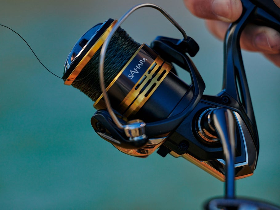 Shimano Sahara FJ Spinning Reel - Dogfish Tackle & Marine