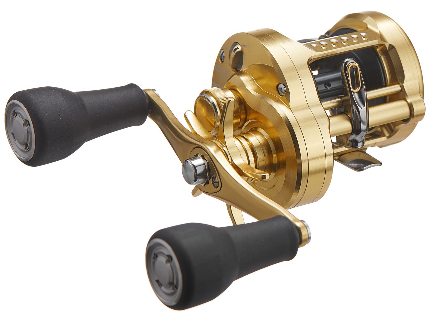 Shimano Calcutta Conquest MD Casting Reel - Dogfish Tackle & Marine