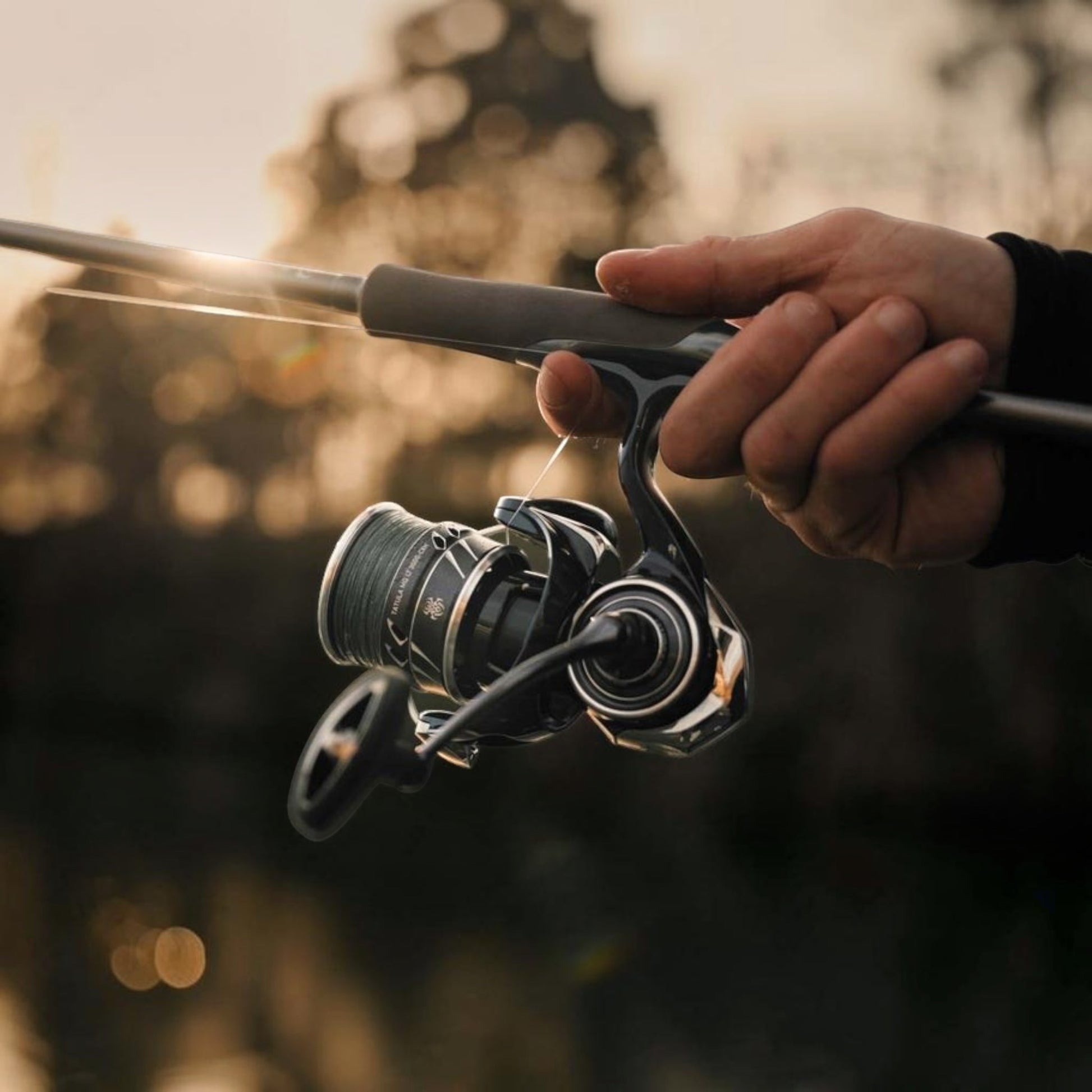 Daiwa Tatula MQ LT - Dogfish Tackle & Marine