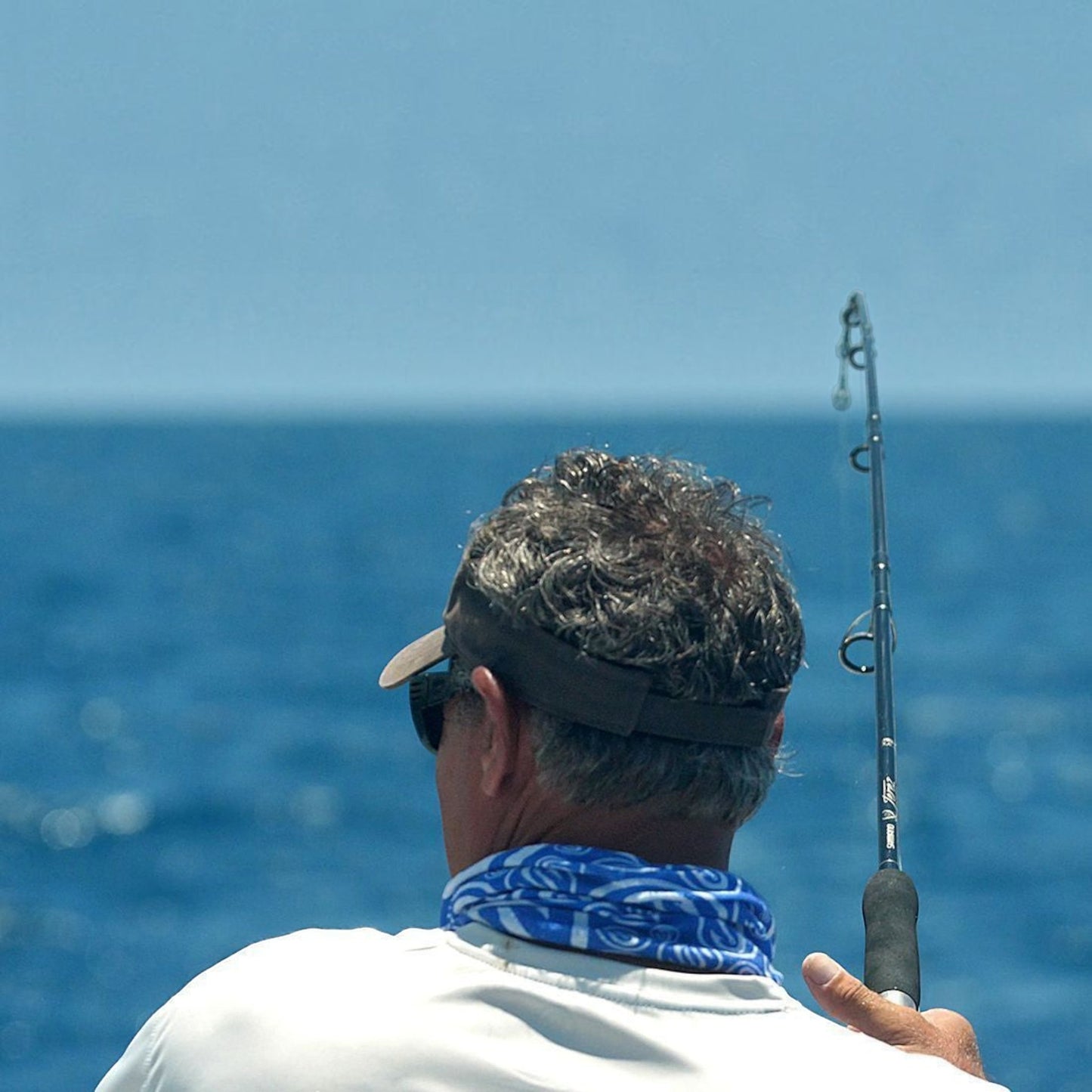 Shimano Terez Conventional Rods - Dogfish Tackle & Marine