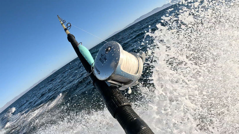 Accurate Tern 2 Conventional Star Drag