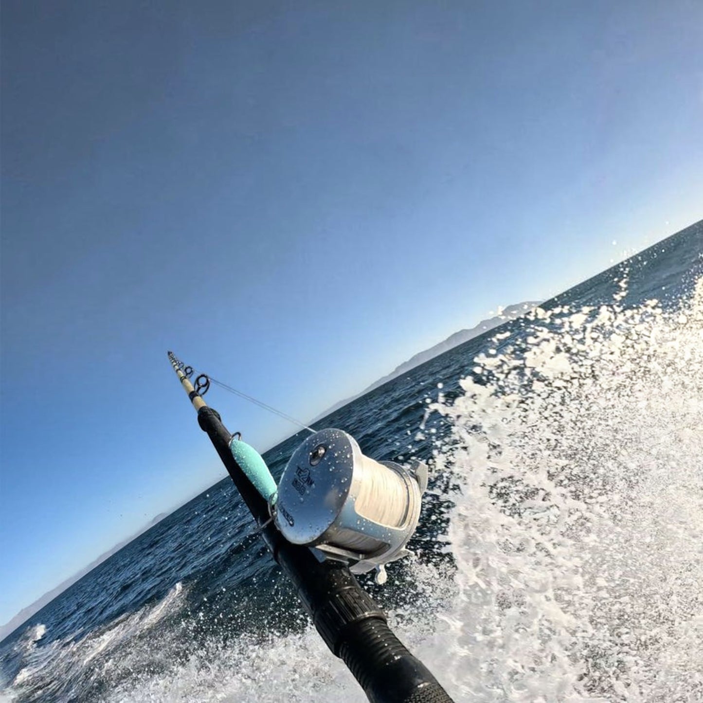 Accurate Tern 2 Conventional Star Drag - Dogfish Tackle & Marine