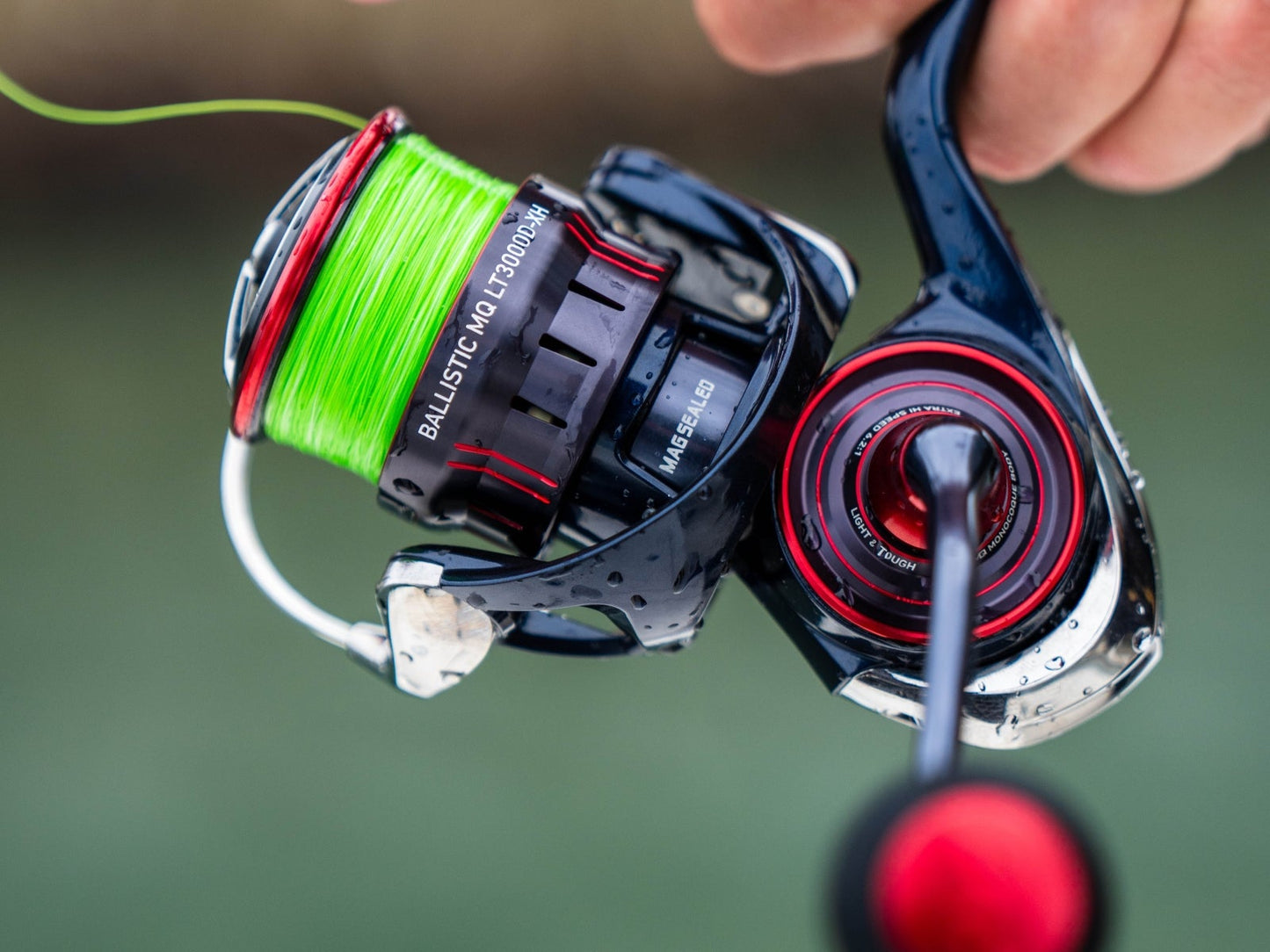 Daiwa Ballistic MQ LT Spinning Reel 2025 - Dogfish Tackle & Marine