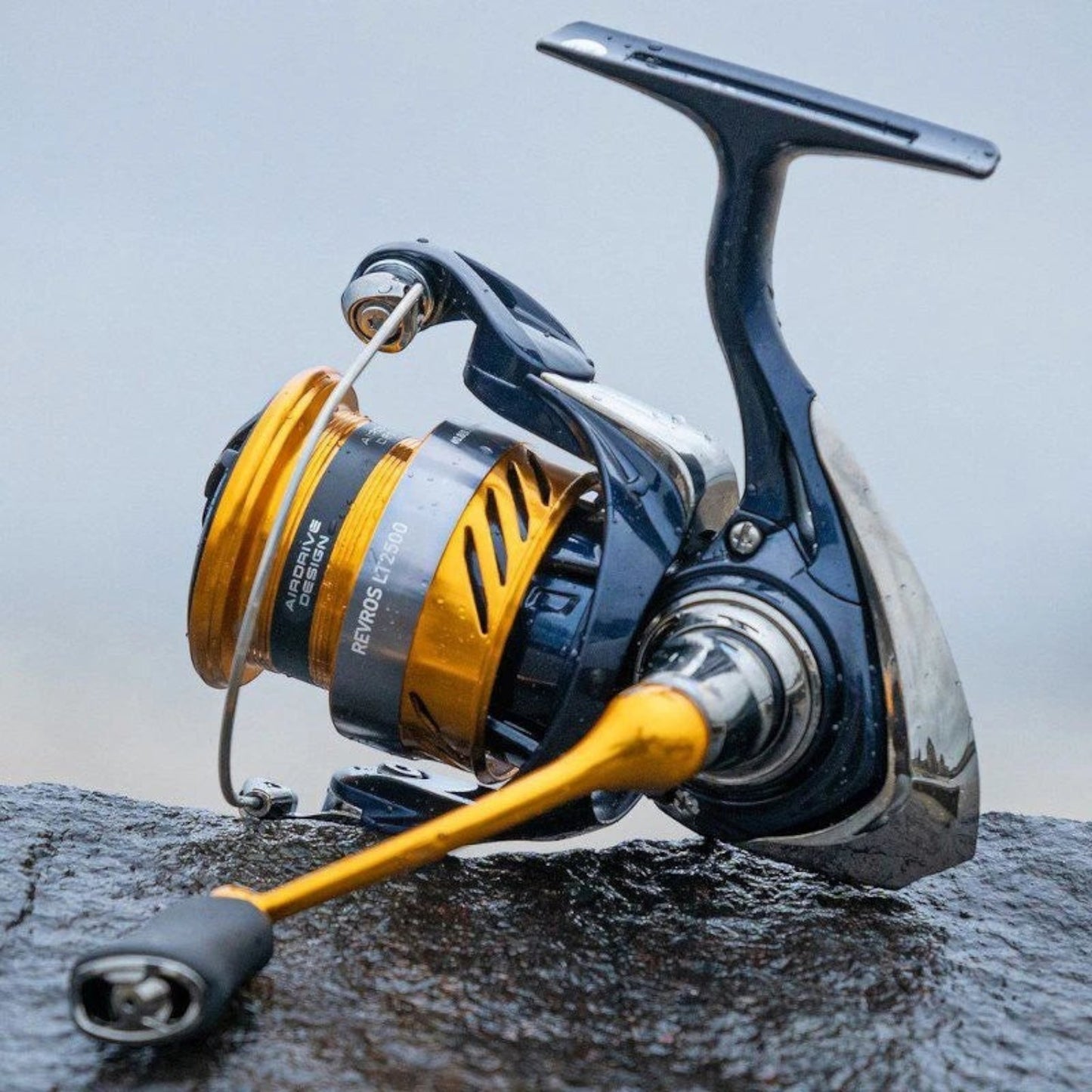 Daiwa Revros LT - Dogfish Tackle & Marine