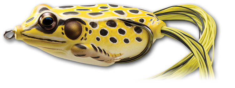 Live Target Hollow Body Frog - Dogfish Tackle & Marine