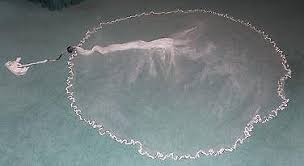 Moonlighter 3/8" PRO Cast Net - Dogfish Tackle & Marine