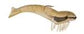 D.O.A 6” Jumbo Shrimp - Dogfish Tackle & Marine