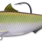 Live Target Thread Fin Swim Bait - Dogfish Tackle & Marine